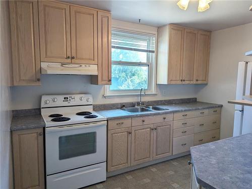 163 East 42Nd Street, Hamilton, ON - Indoor Photo Showing Kitchen With Double Sink