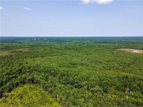 Lot 53 Alexandrina Rd, Notre-Dame, NB 