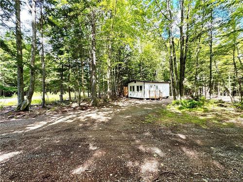 46 Mill Rd, Lakeville Corner, NB 