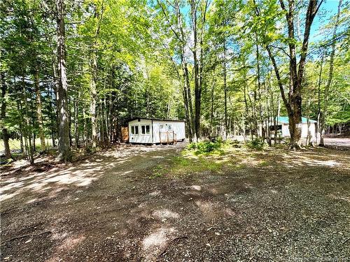 46 Mill Rd, Lakeville Corner, NB 