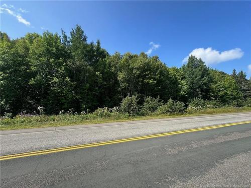 Vacant Lot Route 102, Dumfries, NB 