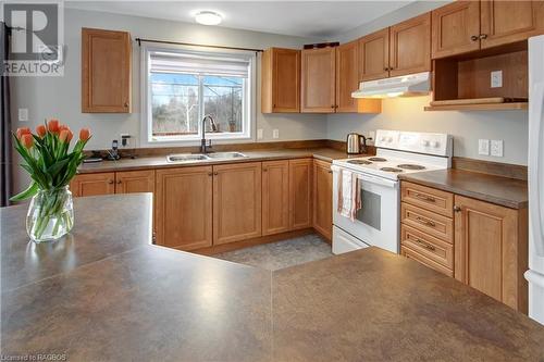 697 Elsinore Road, South Bruce Peninsula, ON - Indoor Photo Showing Kitchen With Double Sink