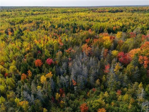 Lot St Augustin Road, Village-Saint-Augustin, NB 