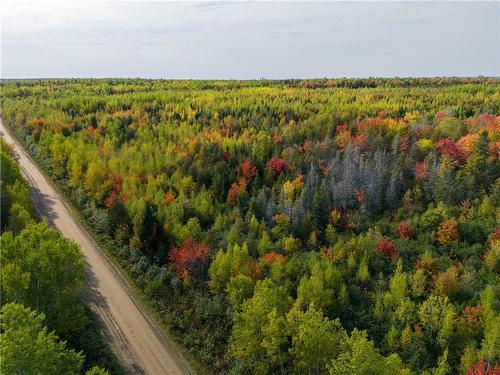 Lot St Augustin Road, Village-Saint-Augustin, NB 