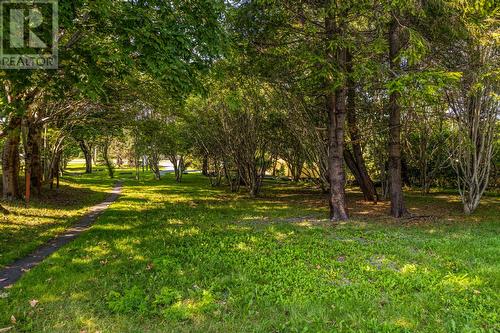 33 Smithville Crescent, St. John'S, NL - Outdoor