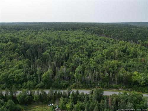 Woodlot Nashwaak West Rd, Nashwaak Bridge, NB 