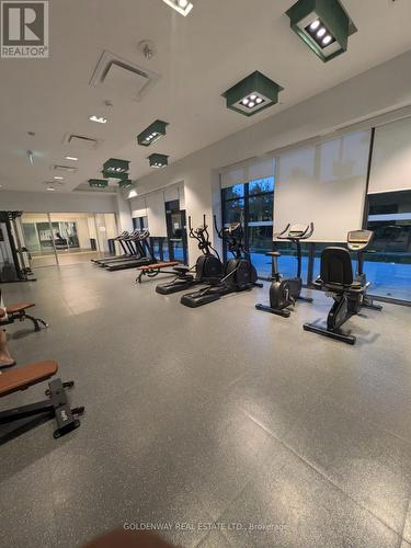 901 - 188 Fairview Mall Drive, Toronto (Don Valley Village), ON - Indoor Photo Showing Gym Room