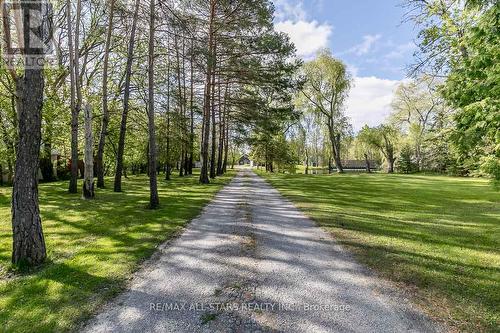 5427 Ravenshoe Road, East Gwillimbury, ON - Outdoor With View