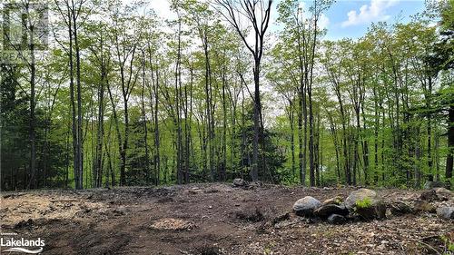 Lot4 Seguin River Estates Louisa Street, Parry Sound, ON 