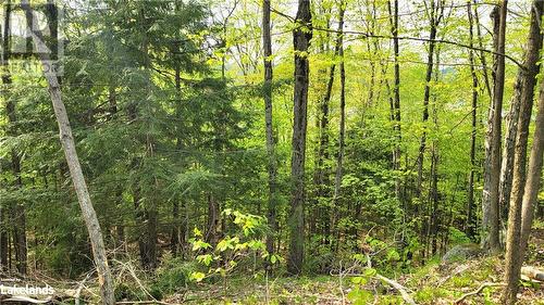 Lot4 Seguin River Estates Louisa Street, Parry Sound, ON 