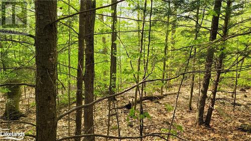 Lot4 Seguin River Estates Louisa Street, Parry Sound, ON 