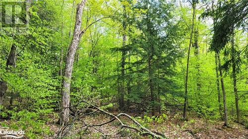 Lot4 Seguin River Estates Louisa Street, Parry Sound, ON 