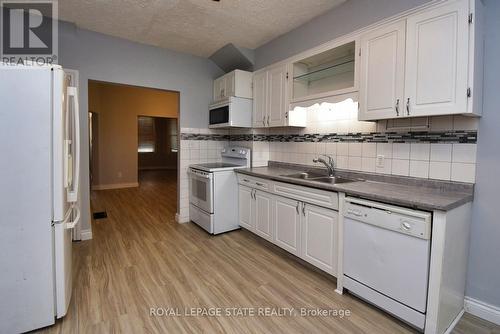 86 Earl Street, Hamilton, ON - Indoor Photo Showing Kitchen With Double Sink