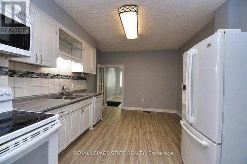 86 Earl Street, Hamilton, ON - Indoor Photo Showing Kitchen With Double Sink