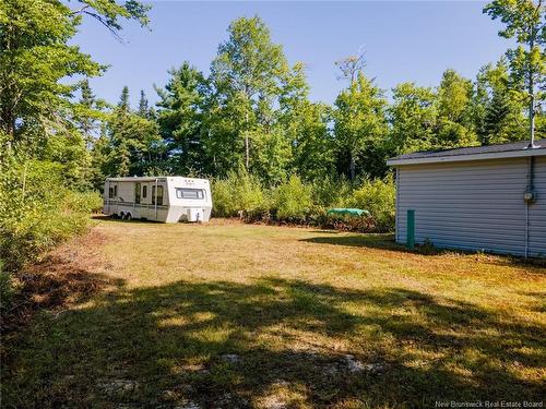 1620 Saint-Sosime Rd, Adamsville, NB 