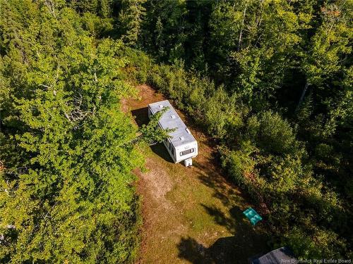 1620 Saint-Sosime Rd, Adamsville, NB 