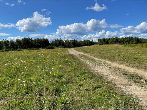 Lot Centreville Road, Florenceville-Bristol, NB 