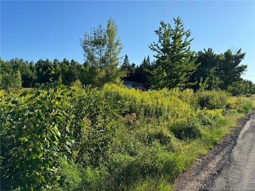 Lot 14-02 Weisner Rd, Lakeville, NB 