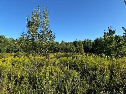 Lot 14-02 Weisner Rd, Lakeville, NB 