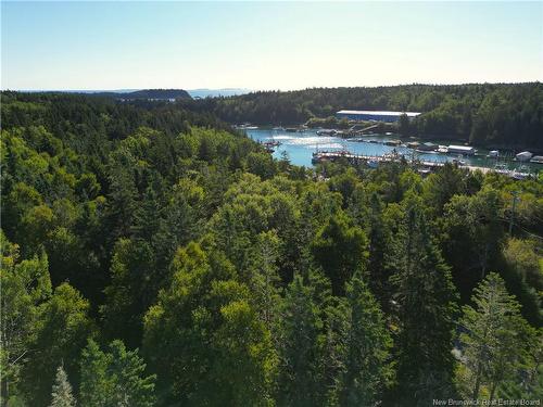 Lot Head Harbour Wharf Rd, Wilsons Beach, NB 