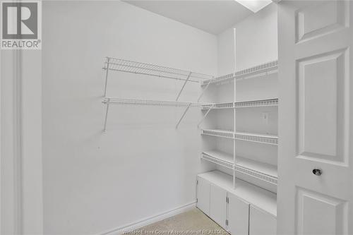 1005 Hacienda Way, Windsor, ON - Indoor With Storage