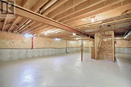 1005 Hacienda Way, Windsor, ON - Indoor Photo Showing Basement