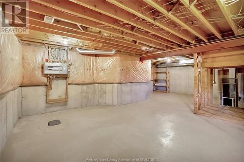 1005 Hacienda Way, Windsor, ON - Indoor Photo Showing Basement