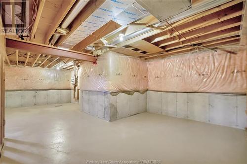 1005 Hacienda Way, Windsor, ON - Indoor Photo Showing Basement