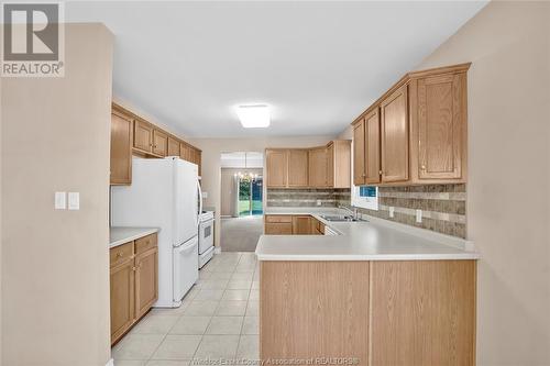 1005 Hacienda Way, Windsor, ON - Indoor Photo Showing Kitchen With Double Sink