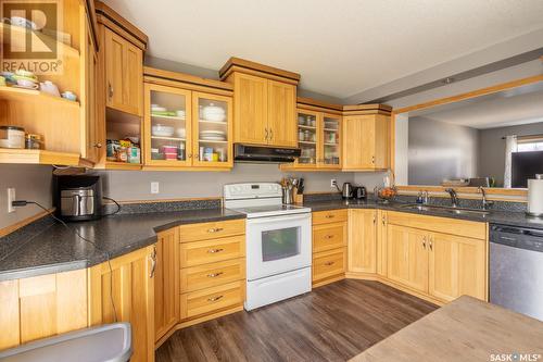 2810 Cranbourn Crescent, Regina, SK - Indoor Photo Showing Kitchen With Double Sink