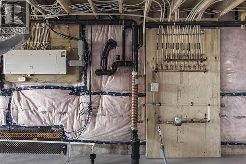 18 Mulberry St, Sault Ste. Marie, ON - Indoor Photo Showing Basement