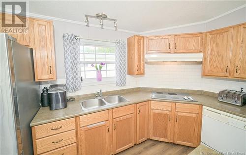 101 Glenmar Drive, Fredericton, NB - Indoor Photo Showing Kitchen With Double Sink