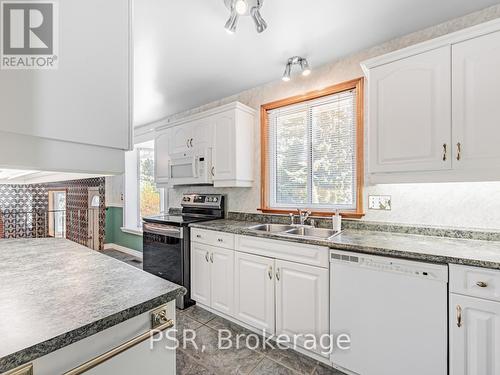 17 Holmcrest Trail, Toronto (Centennial Scarborough), ON - Indoor Photo Showing Kitchen With Double Sink