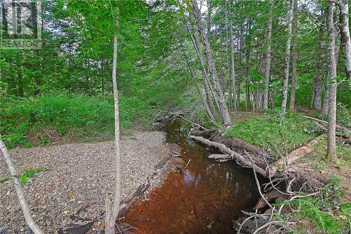 52 Maclean Court, Fredericton, NB - Outdoor