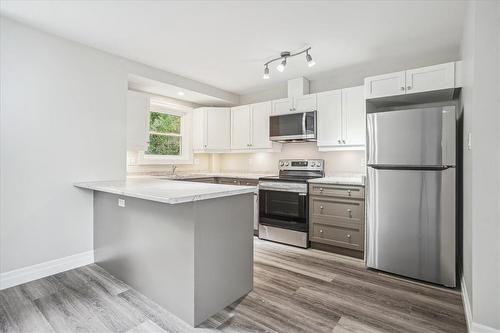 38 Viewpoint Avenue, Hamilton, ON - Indoor Photo Showing Kitchen With Upgraded Kitchen