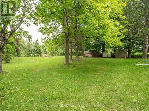 5263 Trafalgar Road, Erin, ON - Outdoor