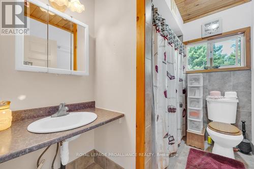 11447 Highway 41, Addington Highlands, ON - Indoor Photo Showing Bathroom