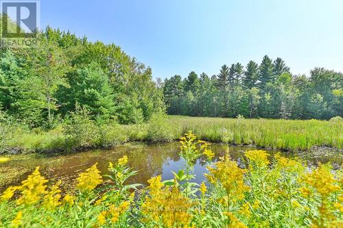 11447 Highway 41, Addington Highlands, ON - Outdoor With View