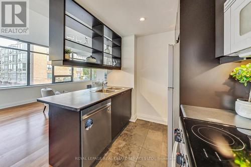 705 - 383 Ellis Park Road, Toronto, ON - Indoor Photo Showing Kitchen With Double Sink