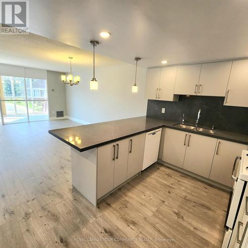 208 - 20 Baif Boulevard, Richmond Hill, ON - Indoor Photo Showing Kitchen With Double Sink