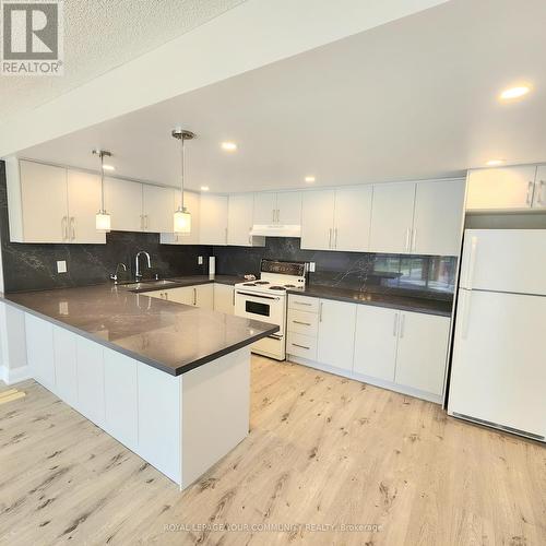 208 - 20 Baif Boulevard, Richmond Hill, ON - Indoor Photo Showing Kitchen With Double Sink