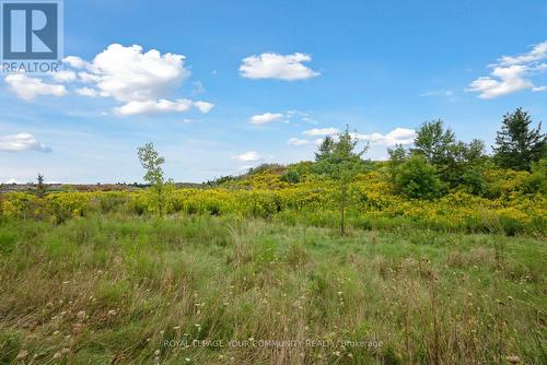 44 Miami Grove, Brampton (Heart Lake East), ON - Outdoor With View