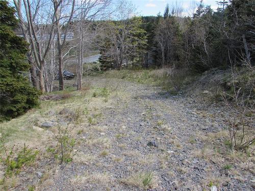 37-41 A Conception Bay Highway, Lakeview, NL 