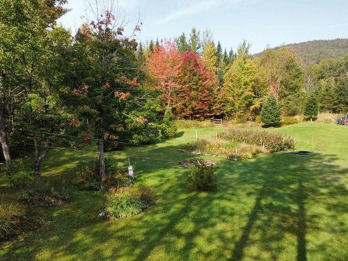 Backyard - 8519 Route 112, Disraeli - Paroisse, QC - Outdoor