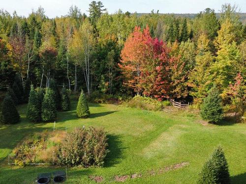 Backyard - 8519 Route 112, Disraeli - Paroisse, QC - Outdoor With View