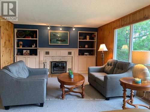 198 Pitts Cove Road, Kawartha Lakes, ON - Indoor Photo Showing Living Room With Fireplace