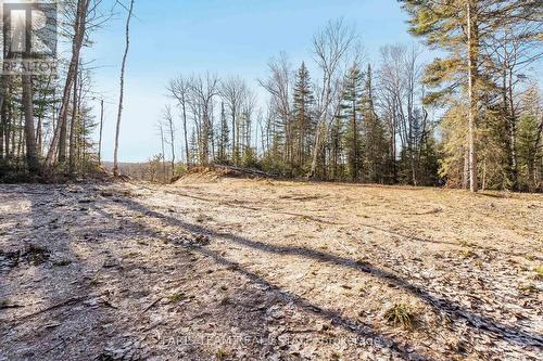 188 River Road, Sundridge, ON 