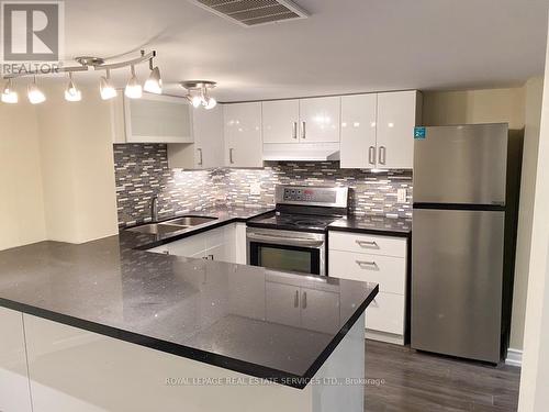 Bsmt - 60 Osprey Drive, Vaughan (Vellore Village), ON - Indoor Photo Showing Kitchen With Double Sink With Upgraded Kitchen