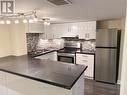 Bsmt - 60 Osprey Drive, Vaughan (Vellore Village), ON  - Indoor Photo Showing Kitchen With Double Sink With Upgraded Kitchen 