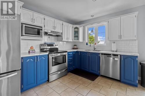 42 Imogene Crescent, Paradise, NL - Indoor Photo Showing Kitchen With Double Sink